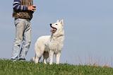 ADULTE ET CHIEN 056